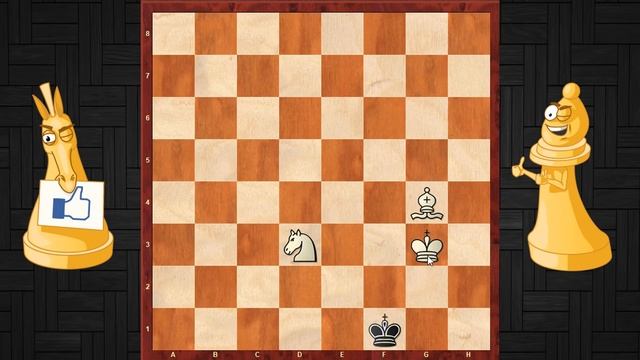 КАК ПОСТАВИТЬ МАТ КОНЕМ И СЛОНОМ? Уникальный метод - 100% вы этому научитесь! смотреть онлайн