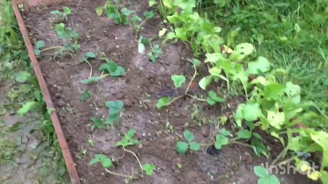 Что можно сделать на даче за два дня смотреть онлайн