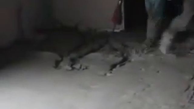 Пеногенератор PFT Porenjet Ll и растворный насос PFT ZP3.