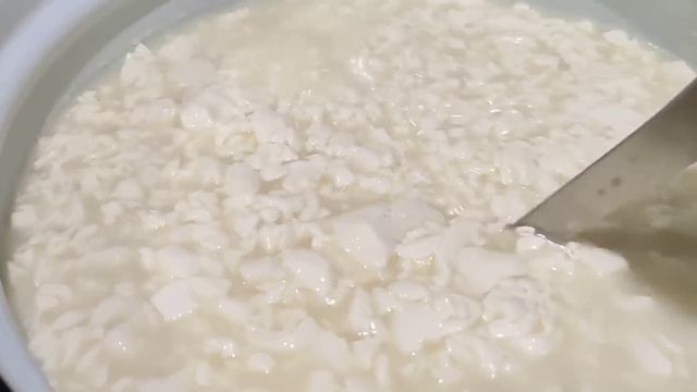 Самый вкусный сыр из Козьего молока, дома! От клиентов не будет отбоя!#рек #топ #сыр #козы#хочуврек смотреть онлайн