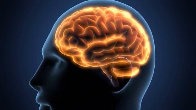 Sahaj Samadhi Meditation смотреть онлайн