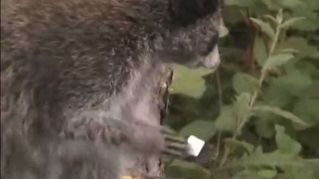 Назарова дача 2015 смотреть онлайн