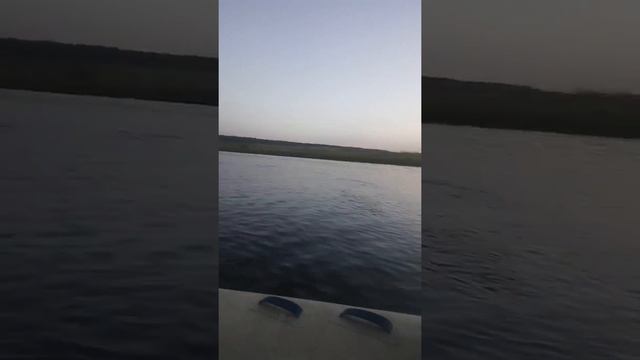 VID 20180826 194420 смотреть онлайн