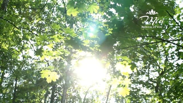 ЖЕНЩИНА-СПАСАТЕЛЬ. НУЖНО ЛИ РЕШАТЬ МУЖСКИЕ ПРОБЛЕМЫ? смотреть онлайн