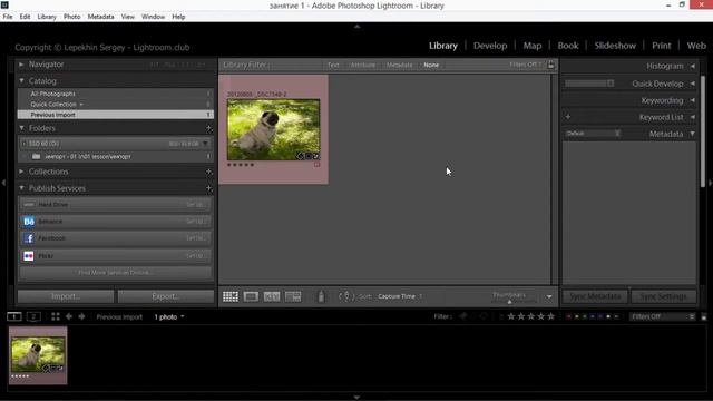 Импорт изображений в лайтрум. Как импортировать изображения в Lightroom? смотреть онлайн