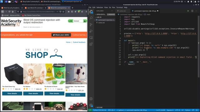 Command Injection - Lab #3 Blind OS command injection with output redirection | Long Version смотреть онлайн
