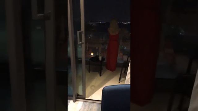 Дубай отель Aloft Palm Jumeirah Dubai UAE декабрь 2019 смотреть онлайн