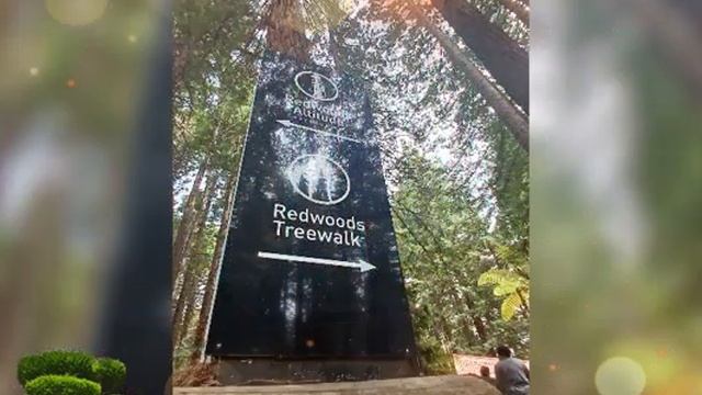 /storage/emulated/0/Download/Photo Video Editor with Music/video_2023_Nov_02_20_46_58.mp4 смотреть онлайн