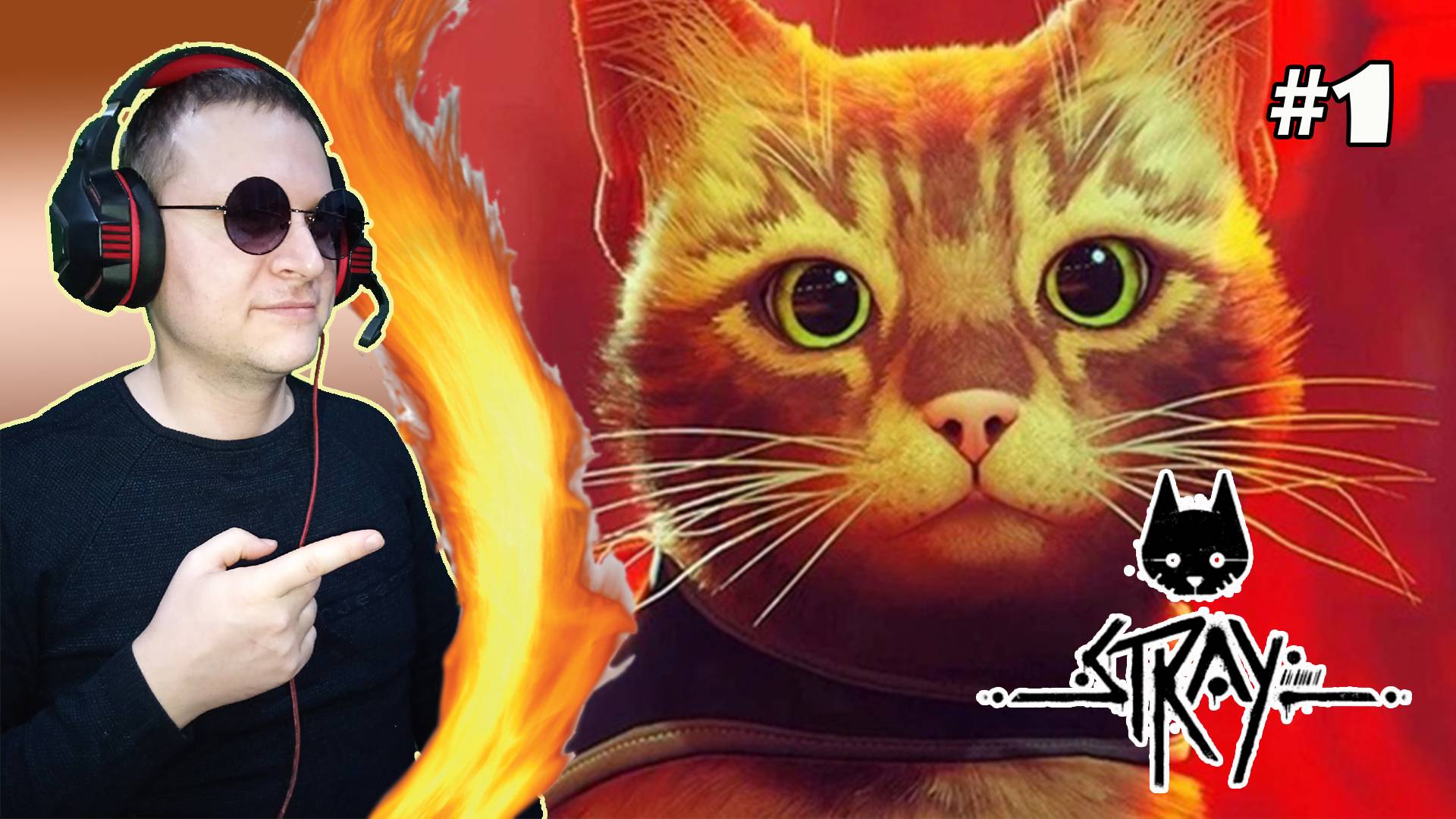 Тайная жизнь кошек! Stray. #1