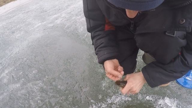 ЛОВЛЯ ПЕРВЫХ ВЕСЕННИХ КАРАСЕЙ 10.04.2021. ПО ПОСЛЕДНЕМУ ЛЬДУ. смотреть онлайн