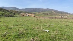 Крюгер в 6,35 отстрел на 130 метров пули Катюша полнотел.