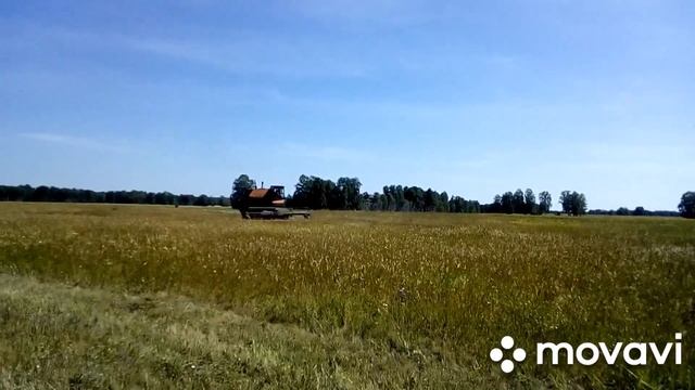 Сенокос продолжается смотреть онлайн