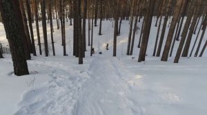 AUSSIE FAMILY LIVING THE DREAM IN SIBERIA! | The ultimate Russain winter wonderland family day out.