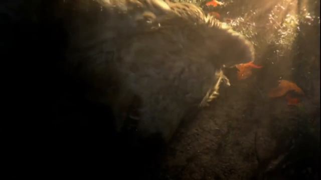 Resident Evil 7 Best Live Reactions Compilation - E3 2016 Reveal Demo смотреть онлайн