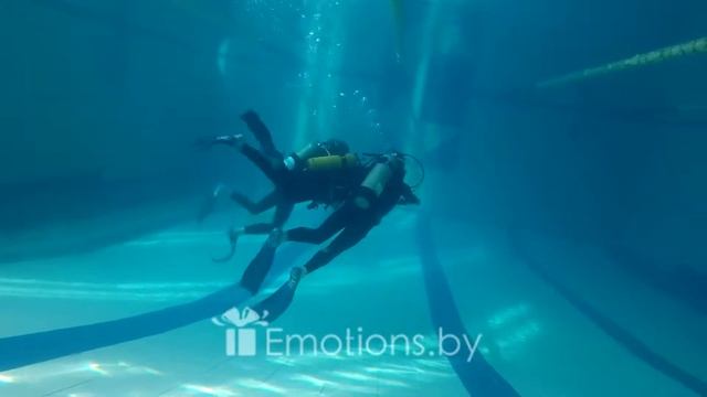 Дайвинг Минск. Дайвинг для новичков, в бассейне. смотреть онлайн