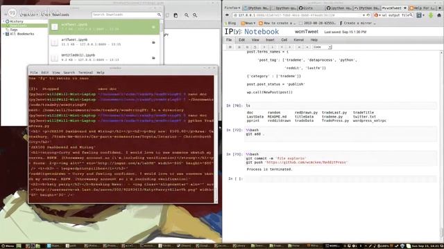 IPython - Data Processing, Web Scalping смотреть онлайн