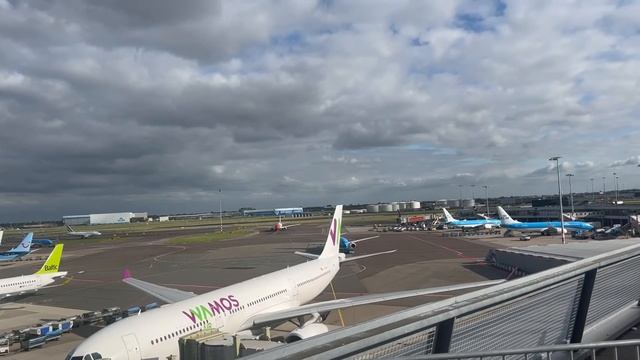 Multiple arrivals and departures at Amsterdam Airport Schiphol on 26 August 2022 смотреть онлайн