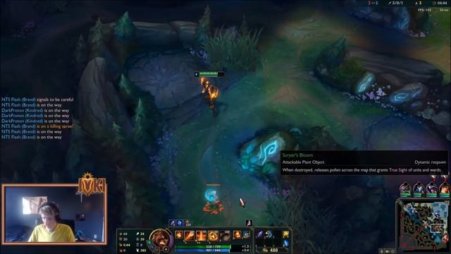 Electrocute or Dark Harvest.... WHY NOT BOTH ? ! (Best Brand Support Builds Season 10) смотреть онлайн