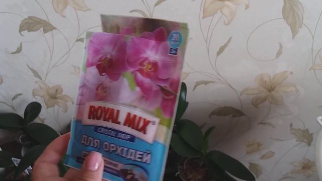 Как я подкармливаю нецветущие орхидеи и подростки. Часть 2, практическая смотреть онлайн