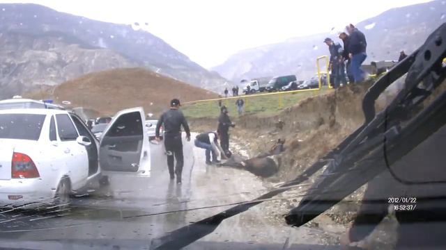 Лошадь упала. смотреть онлайн