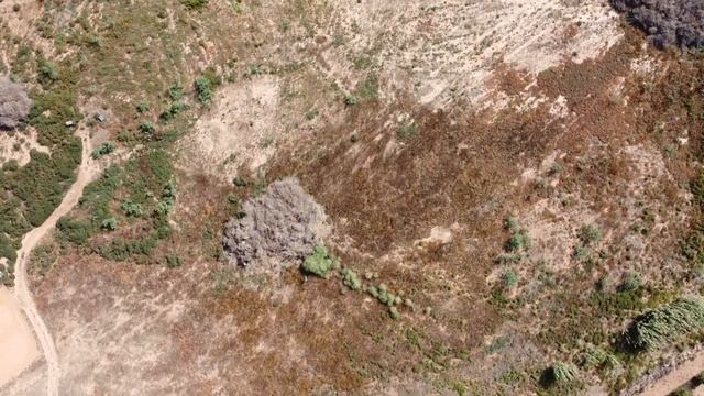 SALINAS TORREVIEJA смотреть онлайн