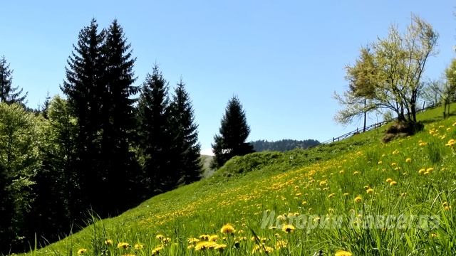 Приехав к маленькой девочке, Катя увидела странное фото мужа, который пропал 5 лет назад… смотреть онлайн