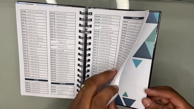 Minha jornada Diária planner смотреть онлайн