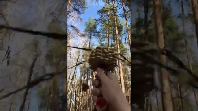 Виктория Мудрая. Практика в лесу, руническая мельница #крутимрунывместе смотреть онлайн