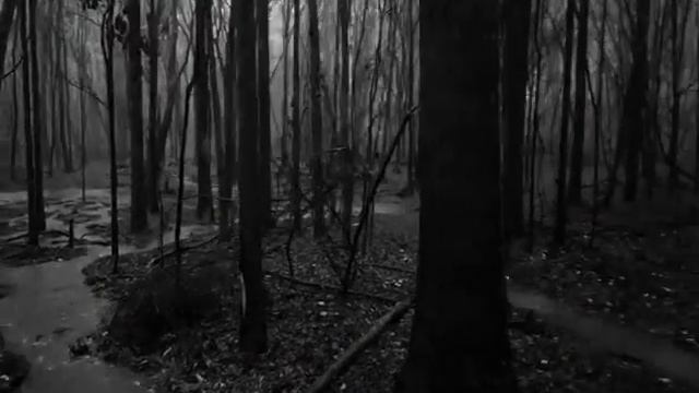 ЦЕНТР БУРИ - Прыжок в прошлое... смотреть онлайн
