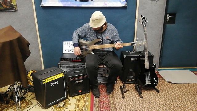 Invasion BG800/Bigson B40/Peavay MicroBass/Hartke HD500