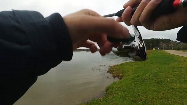 Отводной поводок на водохранилище. Цнянка. Минск. смотреть онлайн