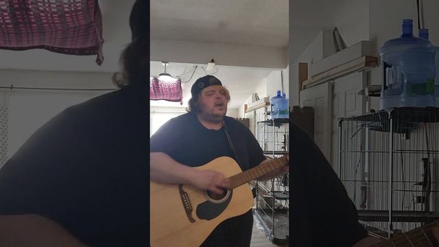 PUP- Sleep In The Heat acoustic cover смотреть онлайн