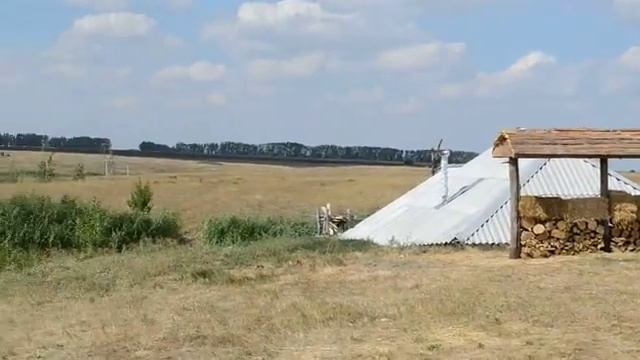 Ломы. Воронежская область смотреть онлайн