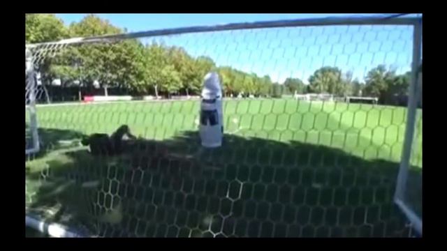 ALLENAMENTO DONNARUMMA!! INCREDIBILE смотреть онлайн