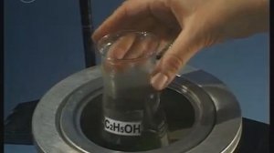 Опыты по фотосинтезу. Образование крахмала в листьях на свету.