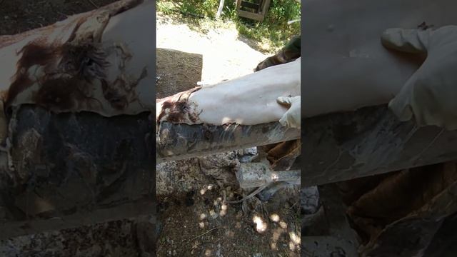 выделка сыромятной кожи в домашних условиях смотреть онлайн