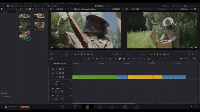 RESOLVE 17: How To Export & Share Timelines - The Easy Way! смотреть онлайн