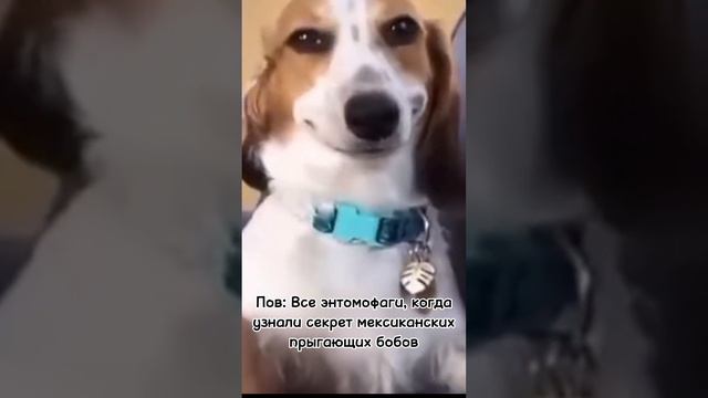 Ням ням