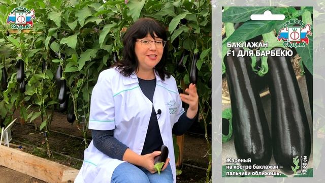 Строительные Творцы