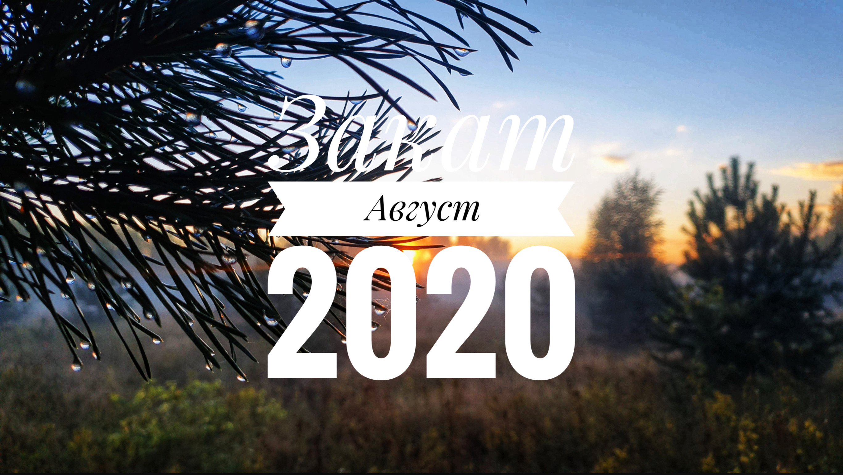 Закат Август 2020 смотреть онлайн