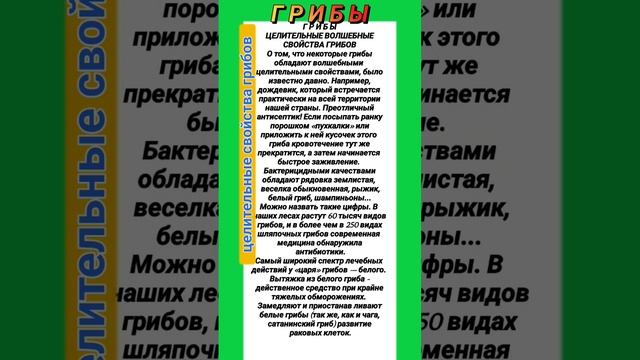 Г Р И Б Ы. ЦЕЛИТЕЛЬНЫЕ ВОЛШЕБНЫЕ СВОЙСТВА ГРИБОВ. 19 января 2023 г. 05;51 смотреть онлайн