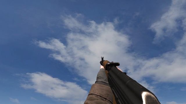 S.T.A.L.K.E.R. Anomaly - All Weapon Reload Animations Within 11 Minutes