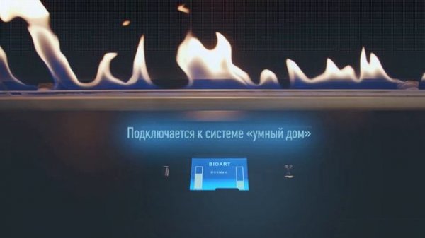 BIOART by Radisson. Встраиваемый автоматический биокамин в холле отеля.