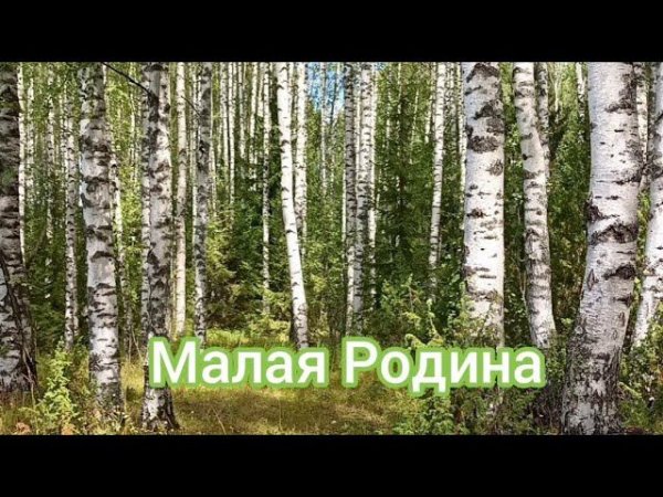 Малая Родина