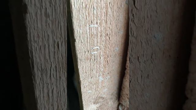 Выбираем скобы для степлера. Причина проблем со степлером. смотреть онлайн