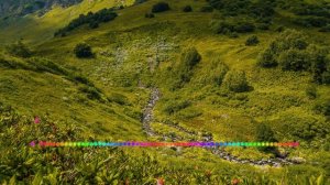 Джамиля Мамакова - Слова любви 2023