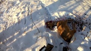 Охота на косулю. Разделка туши. Только для охотников!