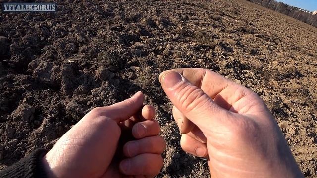 Поиск монет с #equinox 600 Распашка с серебром. Find coins with #equinox 600 Silver plowing смотреть онлайн