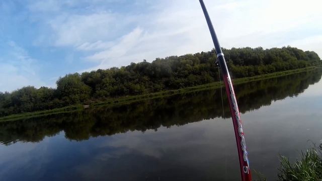ПОПЛАВОЧНАЯ ловля белой рыбы в ПРОВОДКУ с берега на реке ДОН! смотреть онлайн