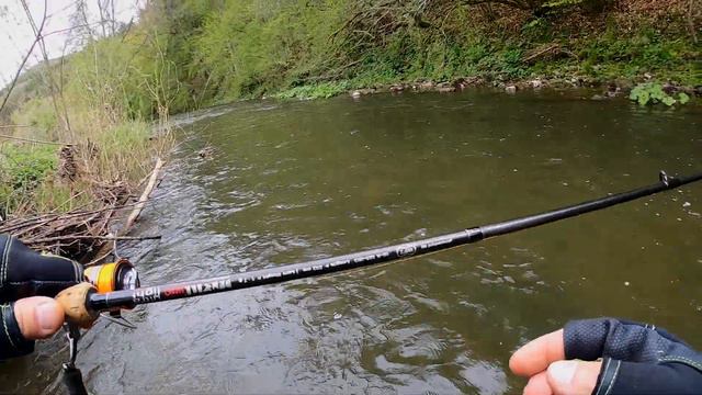 В поисках дикой форели Германии 2021 смотреть онлайн